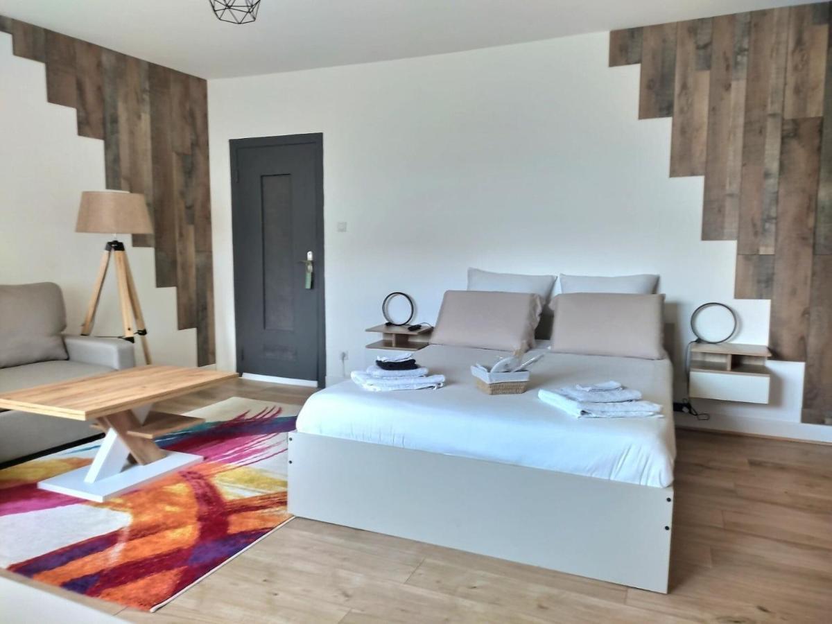 Chambre Privee 23M - Canape Lit - Wifi - Appart 120M Woippy Eksteriør billede
